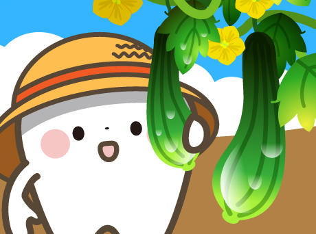 歯のイラスト